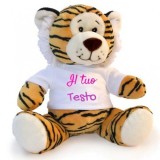 Peluches con maglietta personalizzata con foto e testo