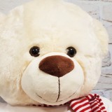 Orso GIGANTE peluche personalizzato Spotify con foto e canzone preferita