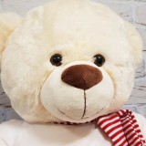 Orso GIGANTE peluche personalizzato con foto, testo o logo.