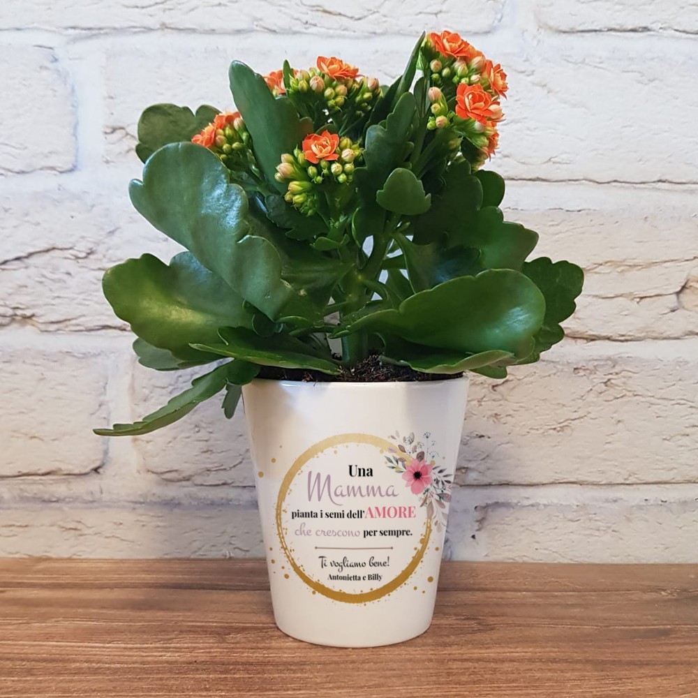 Vaso in ceramica per i fiori, personalizzato con dedica per la mamma e nome