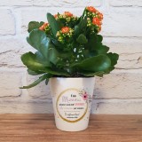 Vaso in ceramica per i fiori, personalizzato con dedica per la mamma e nome