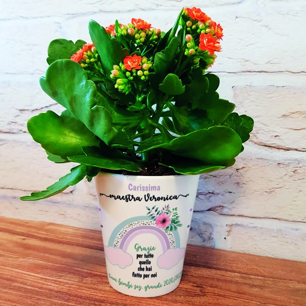 vaso ceramica fiori per la maestra