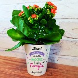 Vasetto per fiori regalo per i nonni personalizzato con nome/i
